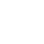 Share Icon