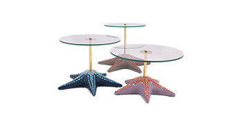 Star Fish