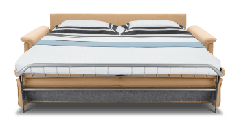 Hilton Sofa Cum Bed